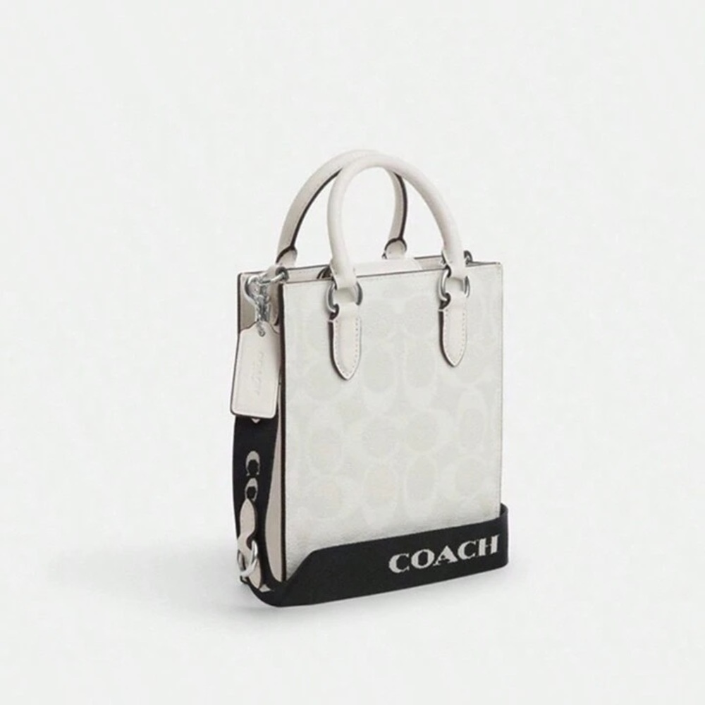 Coach North South Mini Tote